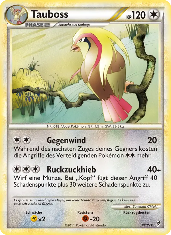 Pidgeot (German)