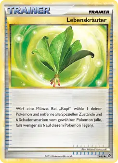 Lebenskräuter – Entfesselt Nr. 79