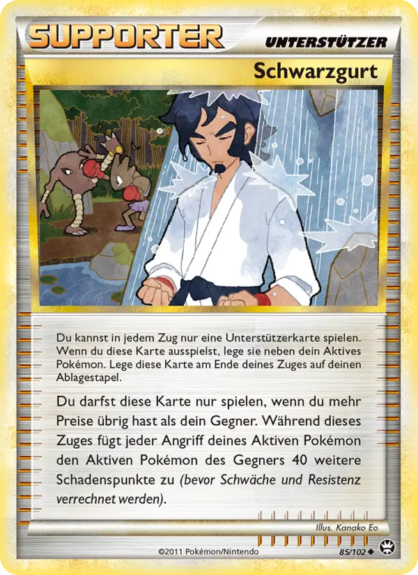 Schwarzgurt card image