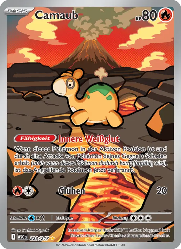 Camaub card image