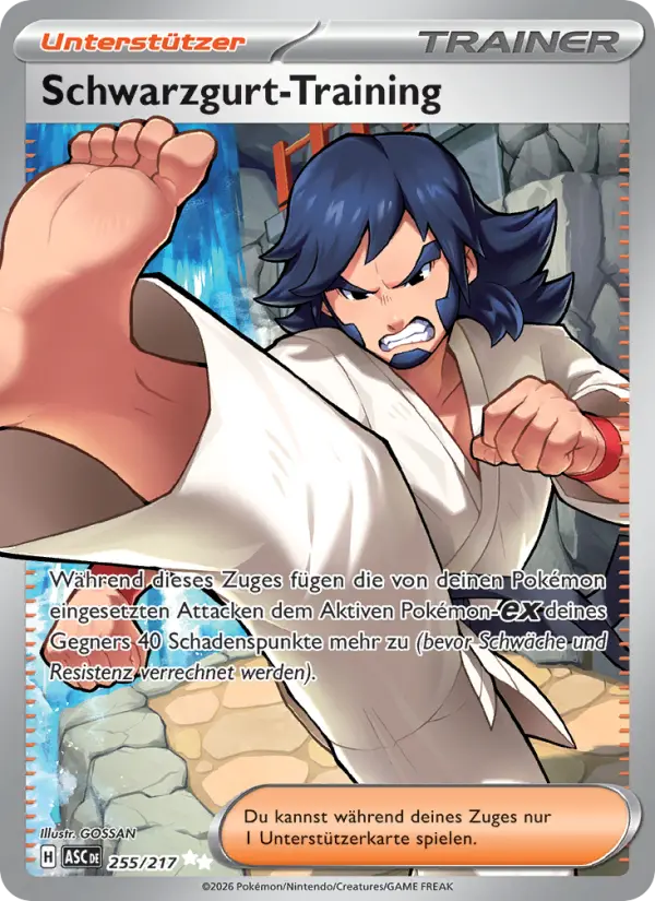 Schwarzgurt-Training card image