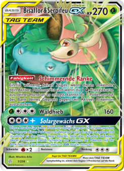 Bisaflor & Serpifeu GX