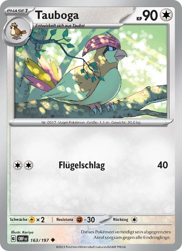 Tauboga card image