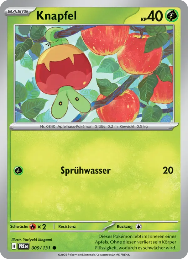 Knapfel card image