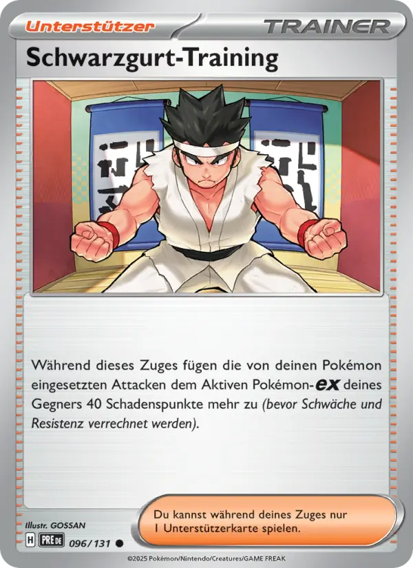 Schwarzgurt-Training card image