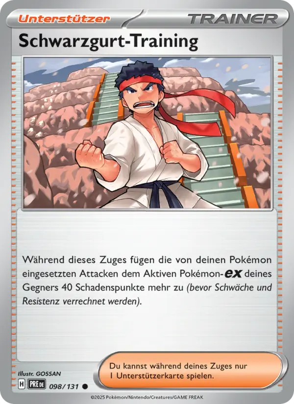 Schwarzgurt-Training card image