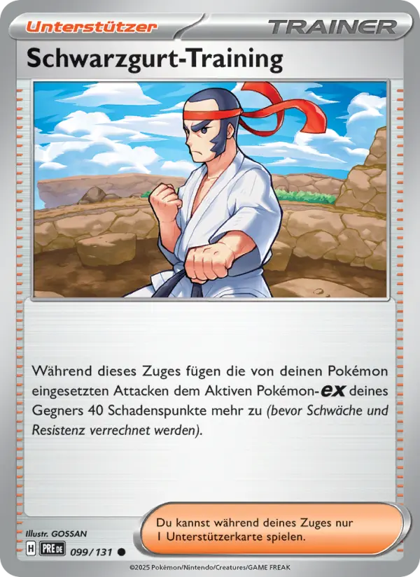 Schwarzgurt-Training card image