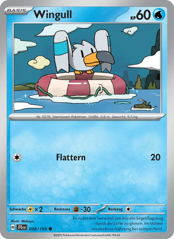 Wingull card image