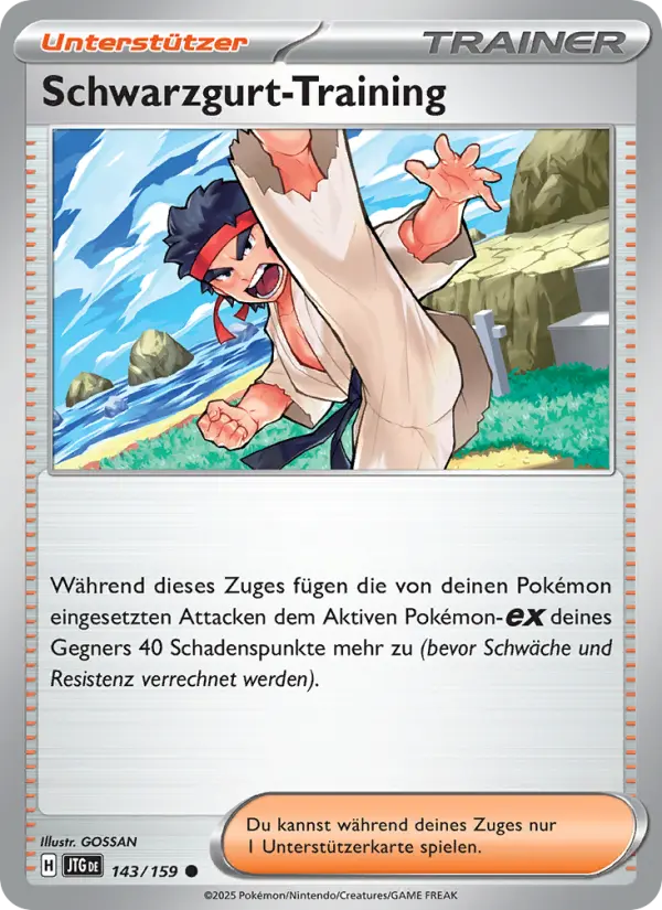 Schwarzgurt-Training card image
