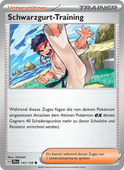 Schwarzgurt-Training