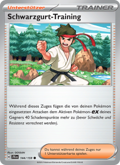 Schwarzgurt-Training