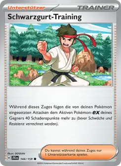 Schwarzgurt-Training