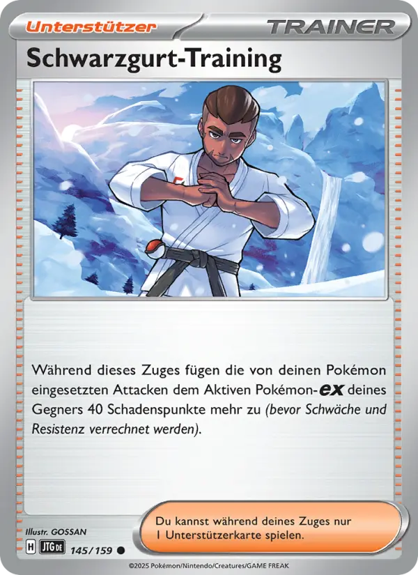 Schwarzgurt-Training card image