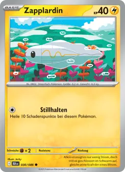 Zapplardin – Schwarze Blitze Nr. 030