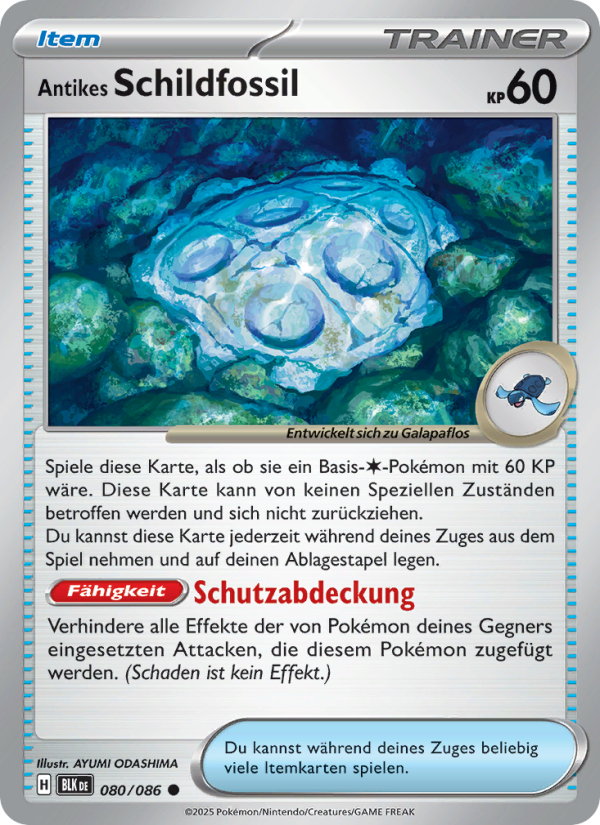 Antikes Schildfossil from Schwarze Blitze