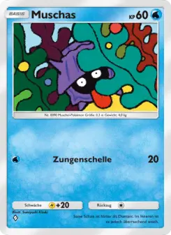Muschas