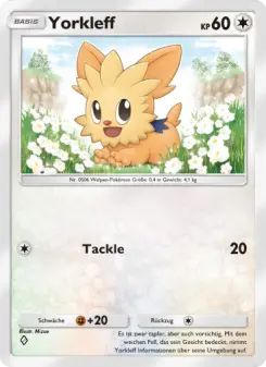 Lillipup