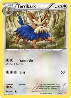 Carte Ponchien, BW Kit du dresseur (Minitaupe)