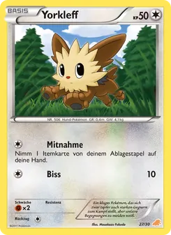 Carte Ponchiot, BW Kit du dresseur (Minitaupe)