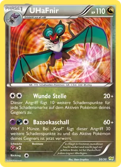 Carte Bruyverne, XY Kit du dresseur (Bruyverne)