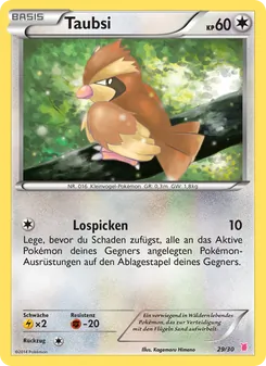 Carte Roucool, XY Kit du dresseur (Grodoudou)