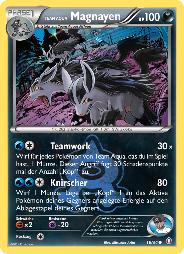 Team Aqua's Mightyena