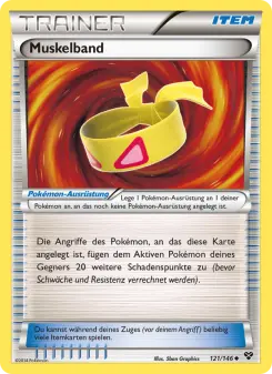 Muskelband – XY Nr. 121
