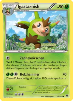 Igastarnish – XY Nr. 13