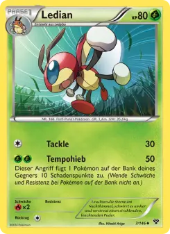 Ledian – XY Nr. 7