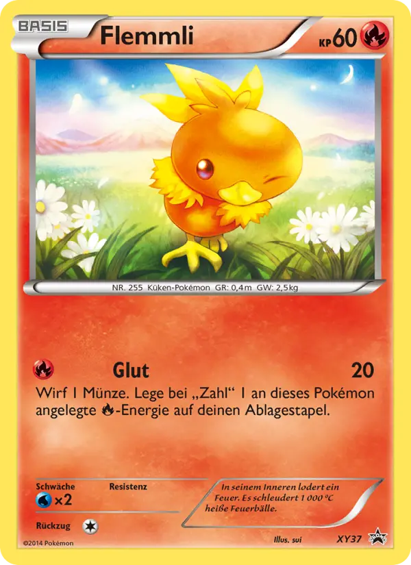 Torchic