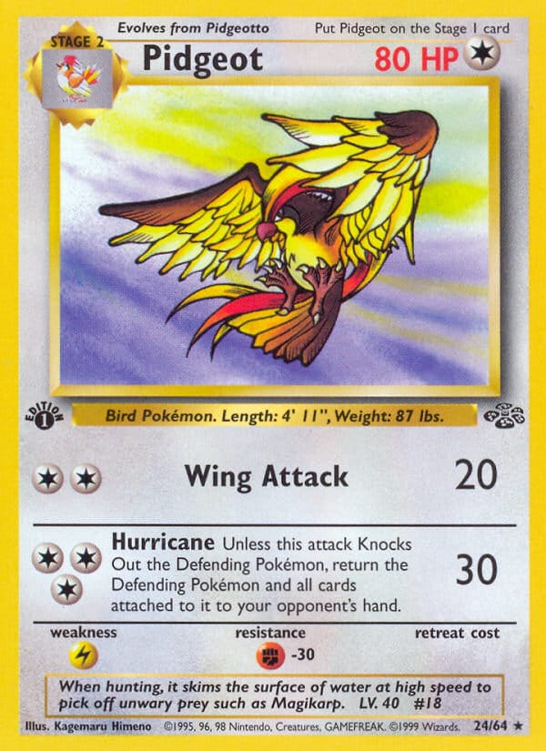 Pidgeot 024/064