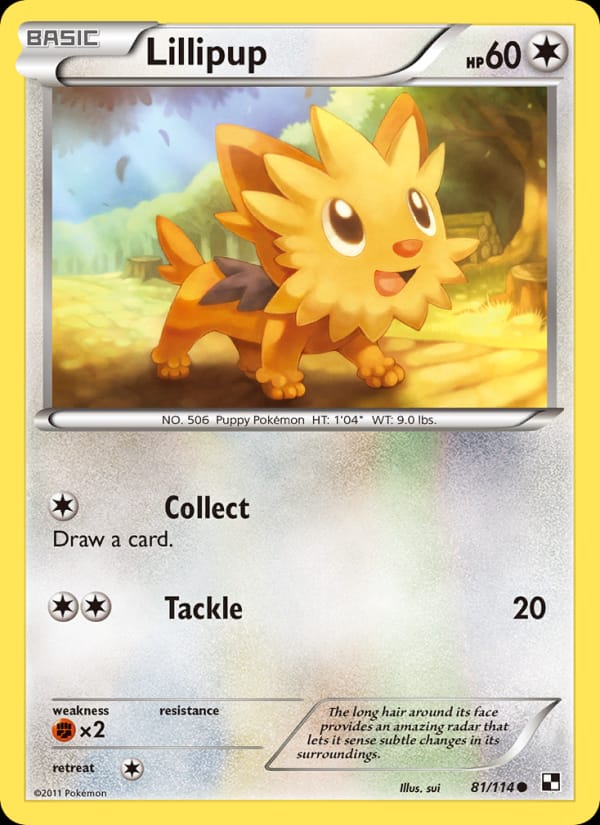 Lillipup 081/114