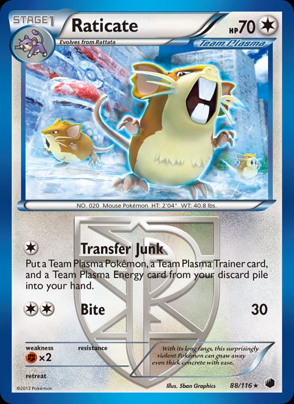 Raticate 088/116