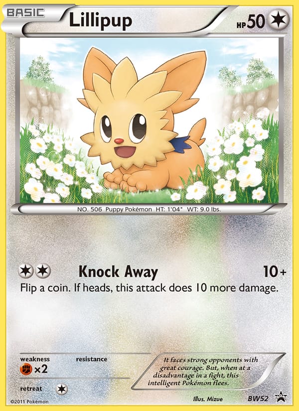 Lillipup 052/101