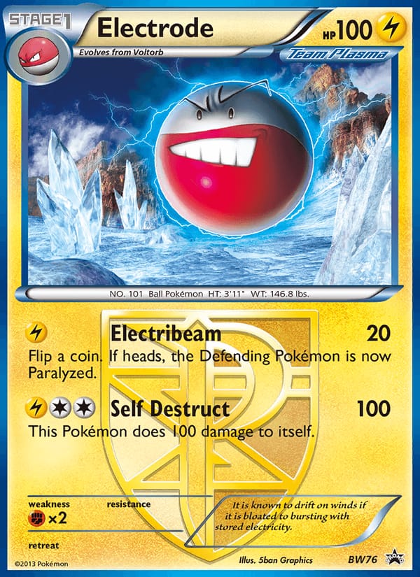 Electrode 076/101