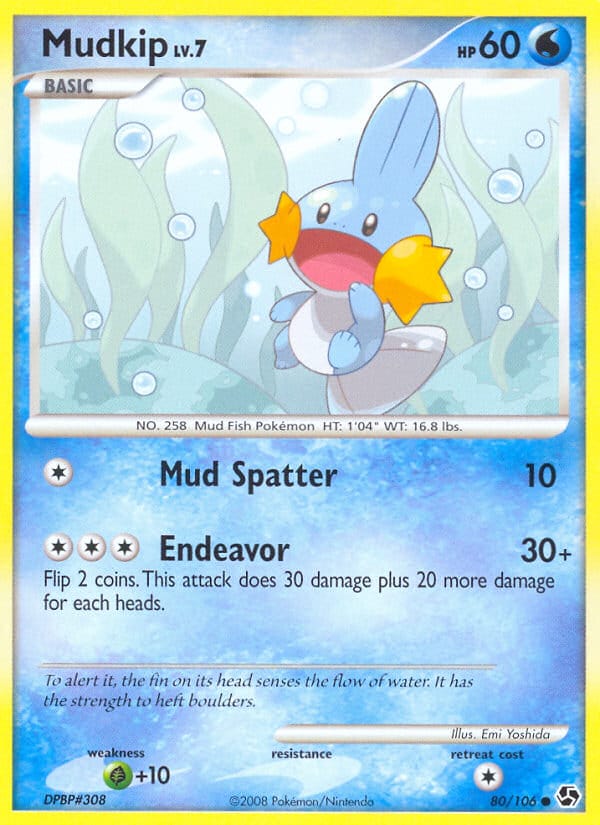 Mudkip 080/106