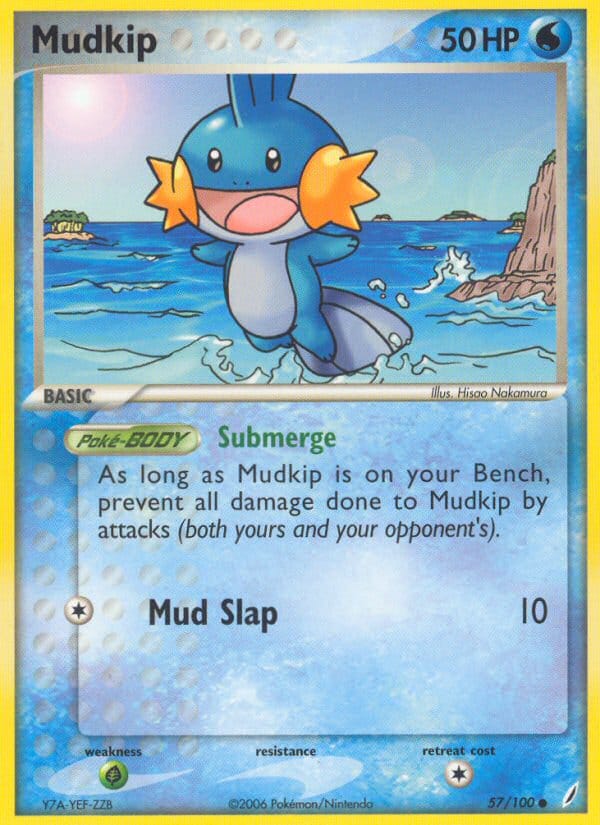 Mudkip 057/100