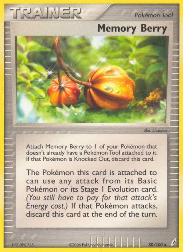 Memory Berry 080/100