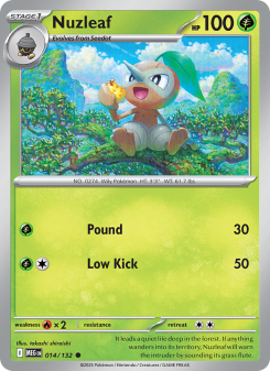 Nuzleaf – Mega Evolution #14