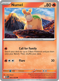 Numel – Mega Evolution #21