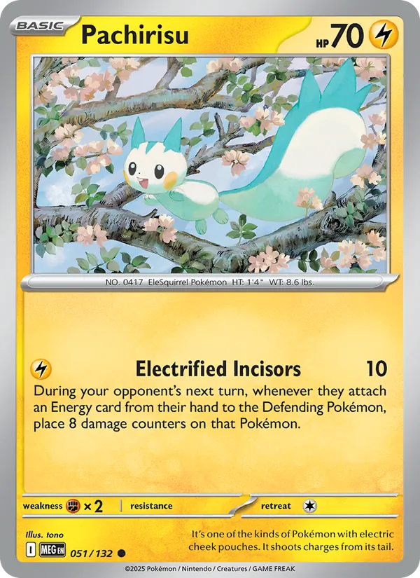 Pachirisu 051 – Non-holo