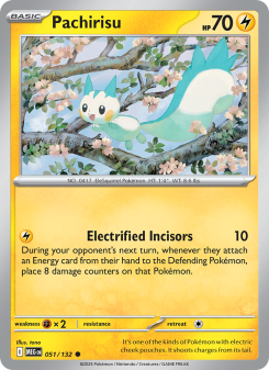 Pachirisu – Mega Evolution #51