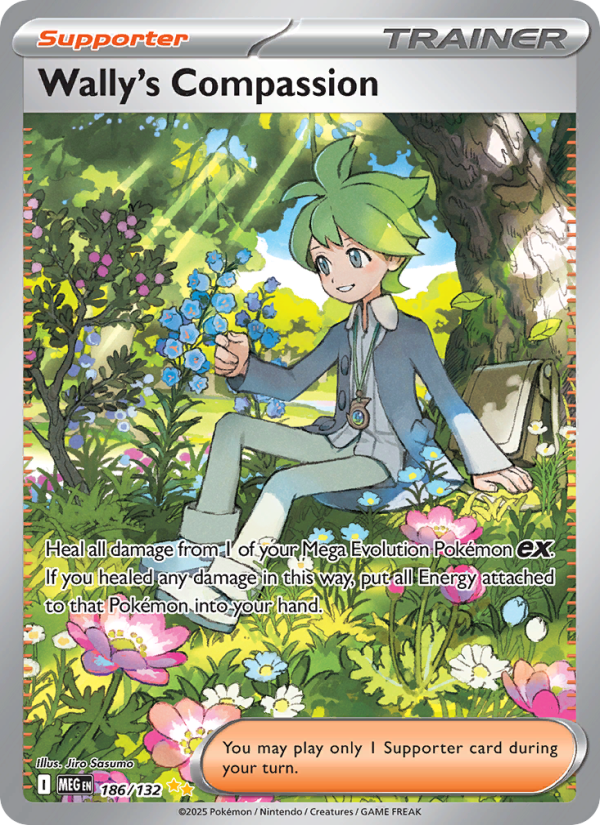 Wally's Compassion Pokémon TCG Card