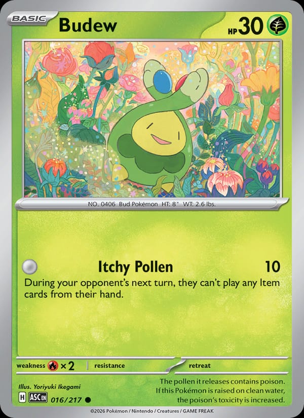 Budew 016/217
