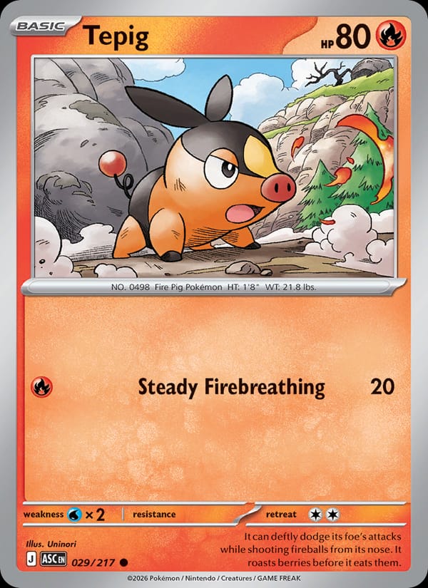 Tepig 029/217