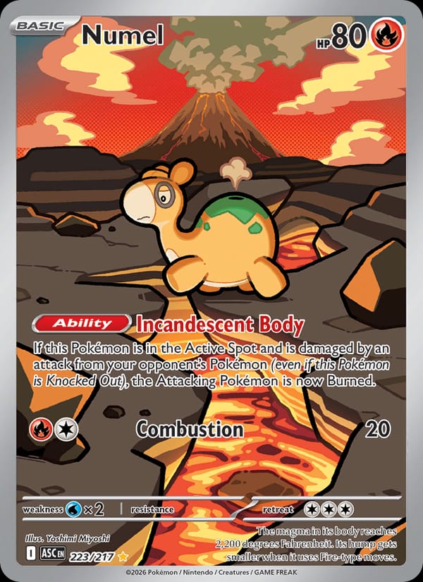 Numel 223/217