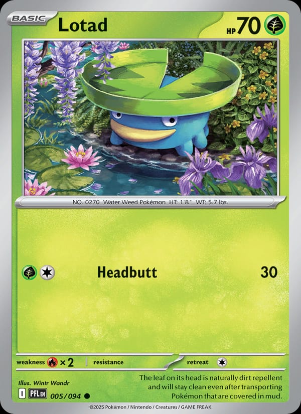 Lotad 005/094