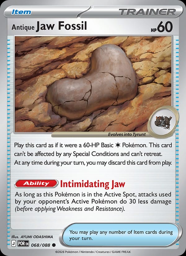 Antique Jaw Fossil 068/088