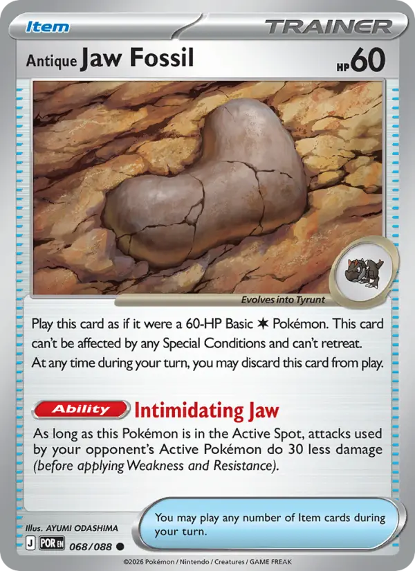 Antique Jaw Fossil 068 – Reverse Holo