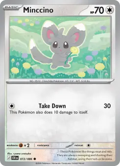 Minccino – Carta Pokémon TCG
